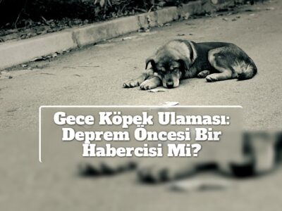 Gece Köpek Ulaması: Deprem Öncesi Bir Habercisi Mi?