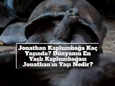 Jonathan Kaplumbağa Kaç Yaşında? Dünyanın En Yaşlı Kaplumbağası Jonathan'ın Yaşı Nedir?
