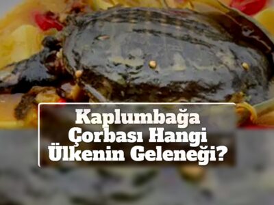 Kaplumbağa Çorbası Hangi Ülkenin Geleneği?