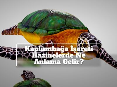 Kaplumbağa İşareti Hazinelerde Ne Anlama Gelir?