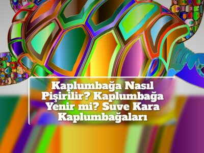 Kaplumbağa Nasıl Pişirilir? Kaplumbağa Yenir mi? Suve Kara Kaplumbağaları