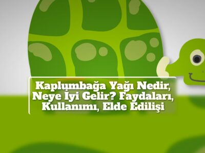 Kaplumbağa Yağı Nedir, Neye İyi Gelir? Faydaları, Kullanımı, Elde Edilişi