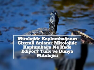 Mitolojide Kaplumbağanın Gizemli Anlamı: Mitolojide Kaplumbağa Ne İfade Ediyor? Türk ve Dünya Mitolojisi