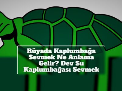 Rüyada Kaplumbağa Sevmek Ne Anlama Gelir? Dev Su Kaplumbağası Sevmek