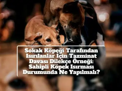 Sokak Köpeği Tarafından Isırılanlar İçin Tazminat Davası Dilekçe Örneği: Sahipli Köpek Isırması Durumunda Ne Yapılmalı?