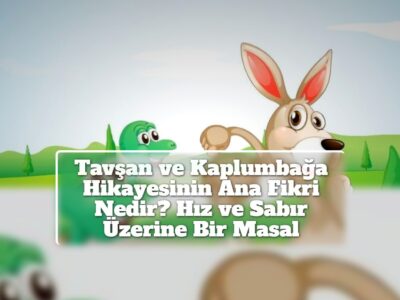 Tavşan ve Kaplumbağa Hikayesinin Ana Fikri Nedir? Hız ve Sabır Üzerine Bir Masal