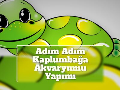 Adım Adım Kaplumbağa Akvaryumu Yapımı