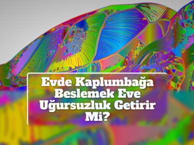 Evde Kaplumbağa Beslemek Eve Uğursuzluk Getirir Mi?