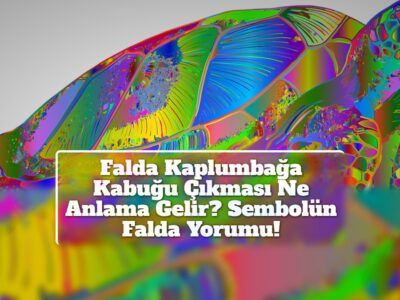 Falda Kaplumbağa Kabuğu Çıkması Ne Anlama Gelir? Sembolün Falda Yorumu!