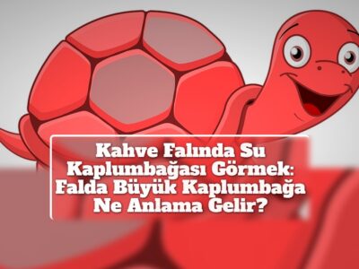 Kahve Falında Su Kaplumbağası Görmek: Falda Büyük Kaplumbağa Ne Anlama Gelir?