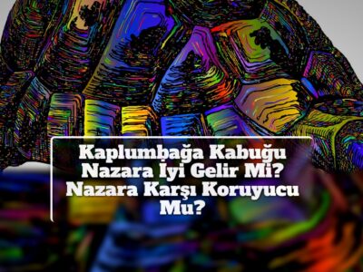 Kaplumbağa Kabuğu Nazara İyi Gelir Mi? Nazara Karşı Koruyucu Mu?