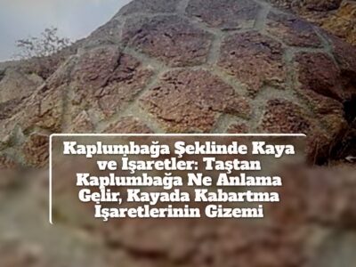 Kaplumbağa Şeklinde Kaya ve İşaretler: Taştan Kaplumbağa Ne Anlama Gelir, Kayada Kabartma İşaretlerinin Gizemi