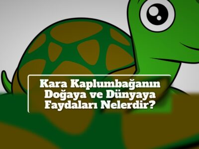 Kara Kaplumbağanın Doğaya ve Dünyaya Faydaları Nelerdir?