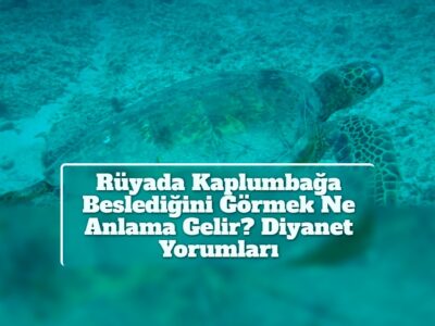 Rüyada Kaplumbağa Beslediğini Görmek Ne Anlama Gelir? Diyanet Yorumları