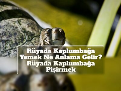 Rüyada Kaplumbağa Yemek Ne Anlama Gelir? Rüyada Kaplumbağa Pişirmek